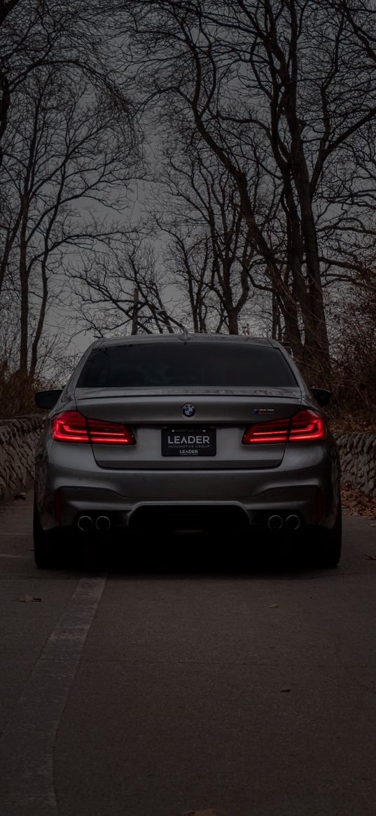 bmw, bmw m5, bmw back, car, dark, trees