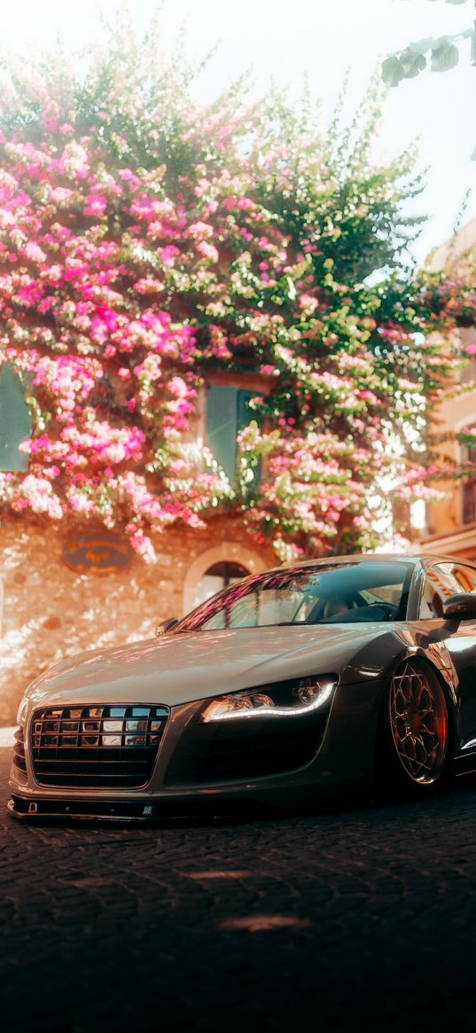 audi, audi r8, flowers, car, house