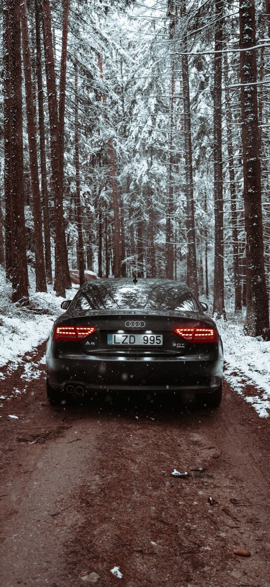 audi, audi rs5, audi a5, car, snow, winter, forest, black