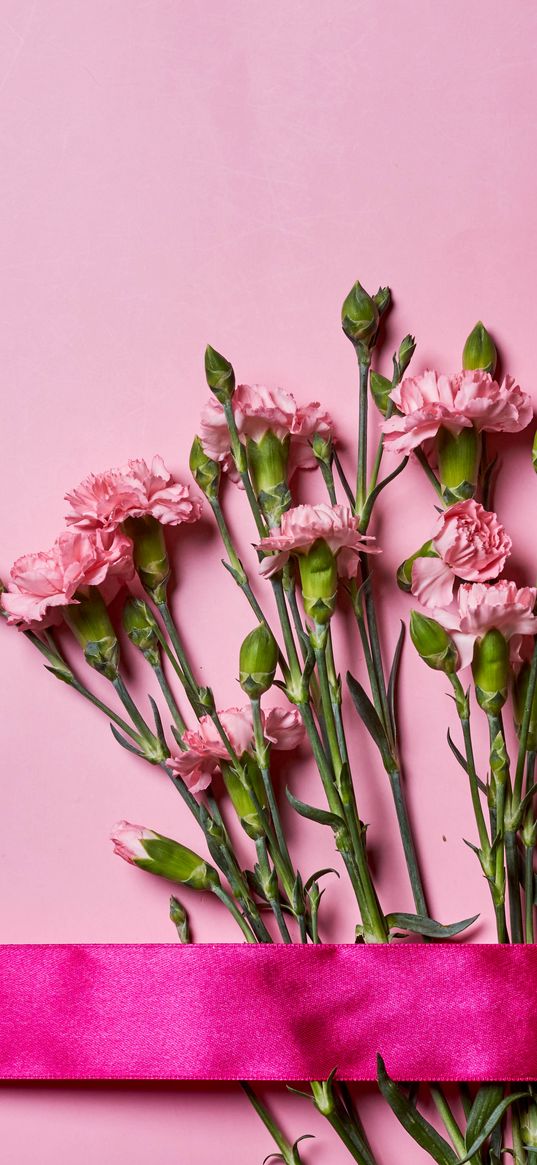 carnations, flowers, bouquet, pink, ribbon