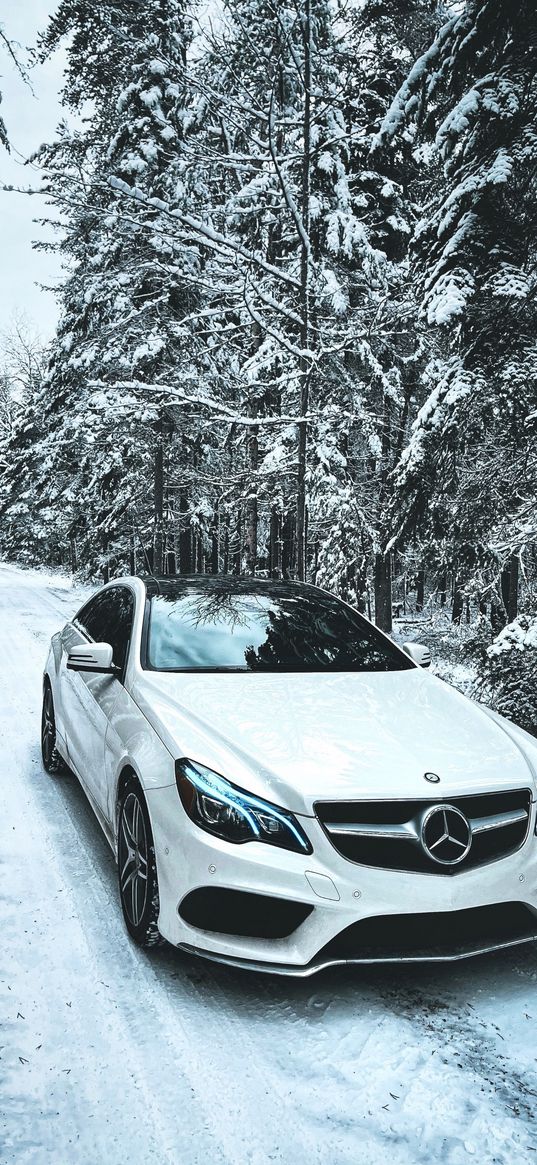 mercedes, mercedes benz, car, snow, winter, snow trees, white