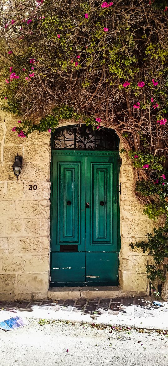 vintage, door, flowers, begining, hope, street