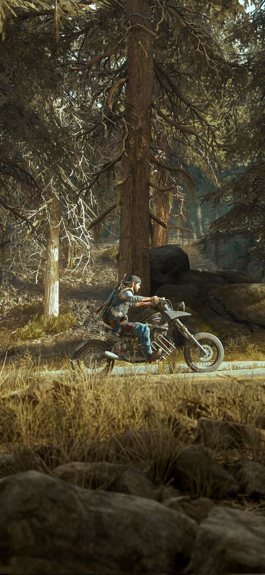 days gone, character, pc, games, game