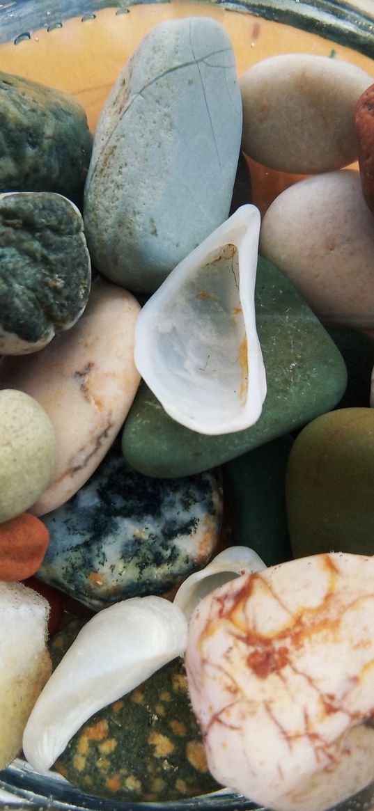 stones, shells, bubbles, jar