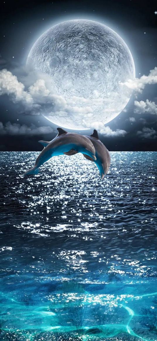 dolphins, moon, sea, clouds, night