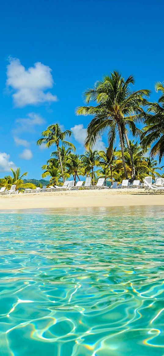 beach, palm trees, sea, sun loungers, resort, sky