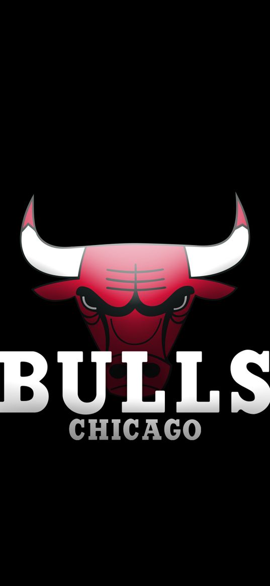 bull, chicago bulls, red, inscription