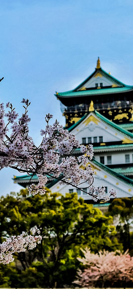 pagoda, sky, sakura, flower, palace, japan, pink, green, blue