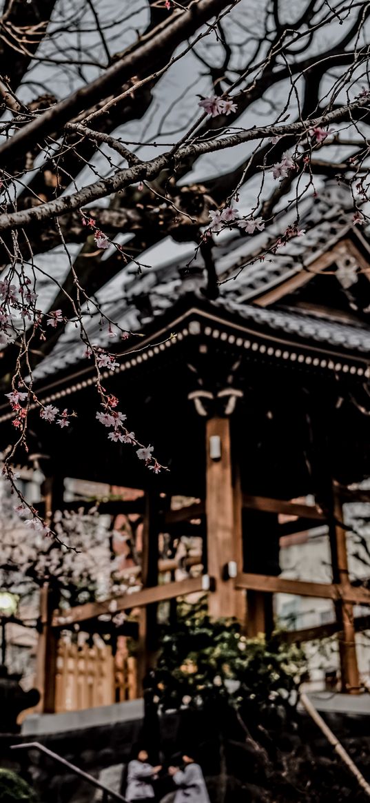 pagoda, sakura, flower, tree, japan, pink