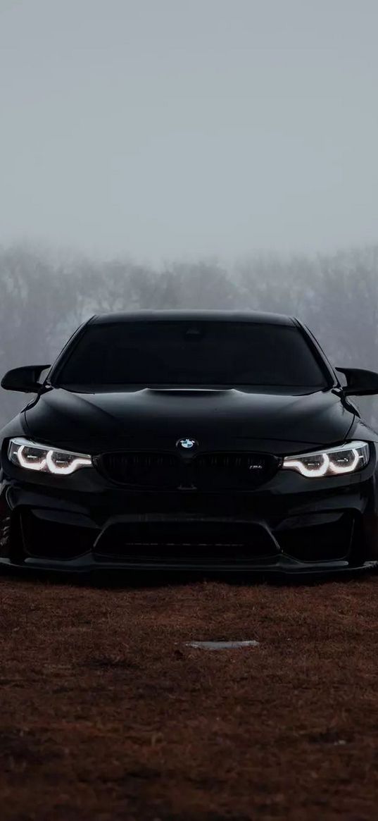 bmw m4, bmw, car, black, forest, snow