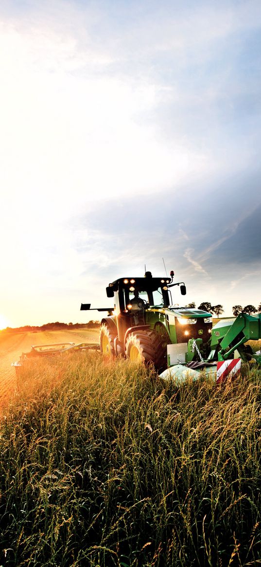 tractor, field, agriculture, summer, sunset