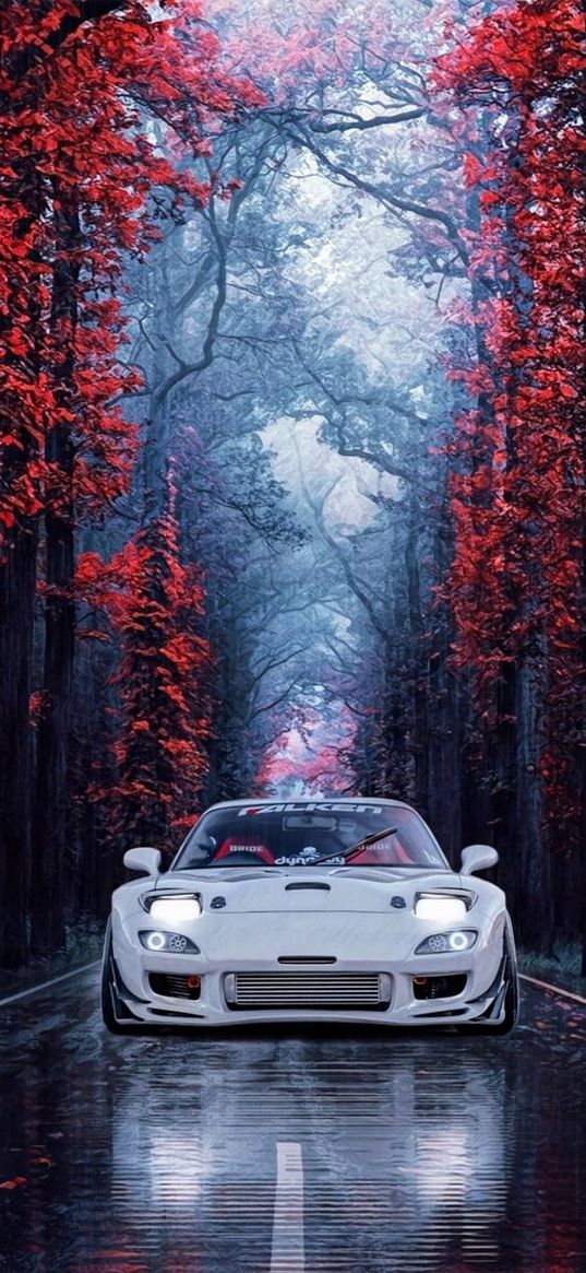 white car, road, trees, red