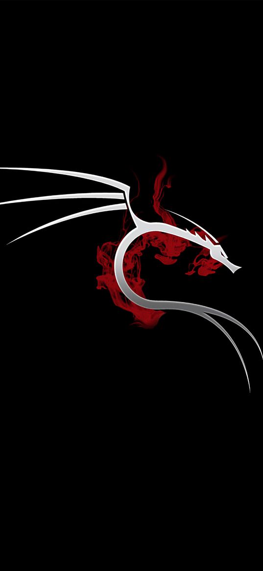 dragon, kali, linux, smoke, red, black