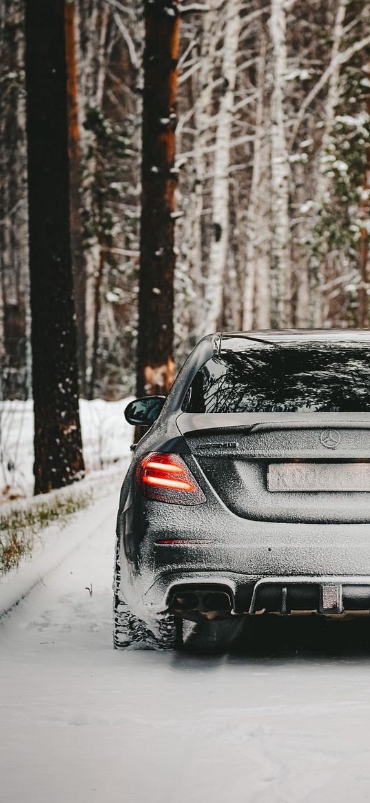 mercedes amg c63, mercedes-benz, mercedes, car, grey, forest, snow, rear view