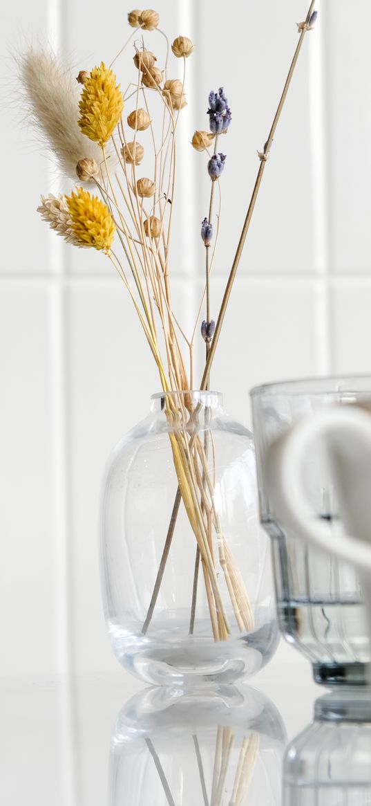 vase, dried flower, cup, white, aesthetics