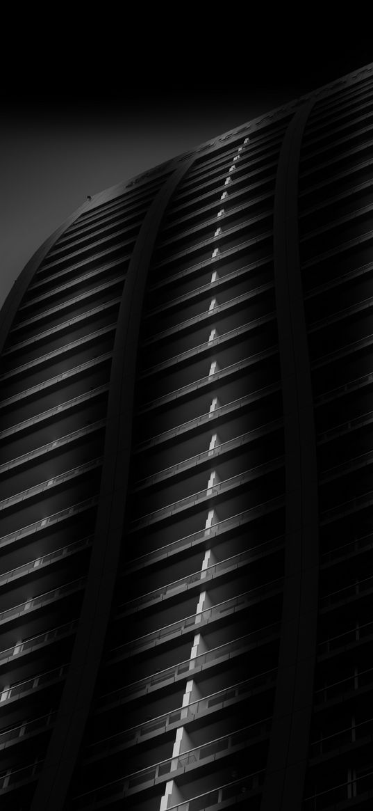 building, architecture, windows, facade, black and white