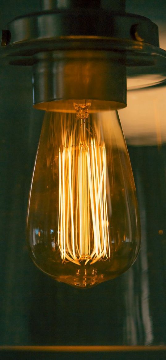 lamp, light bulb, electricity, light