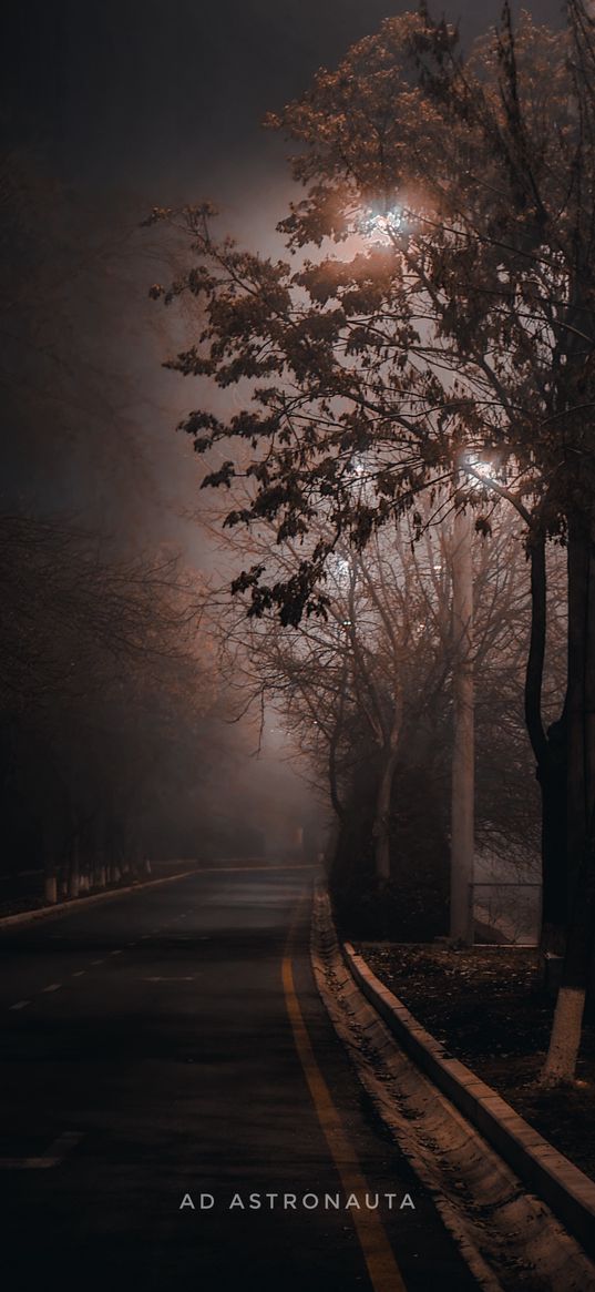 evening, fog, lantern, road, trees