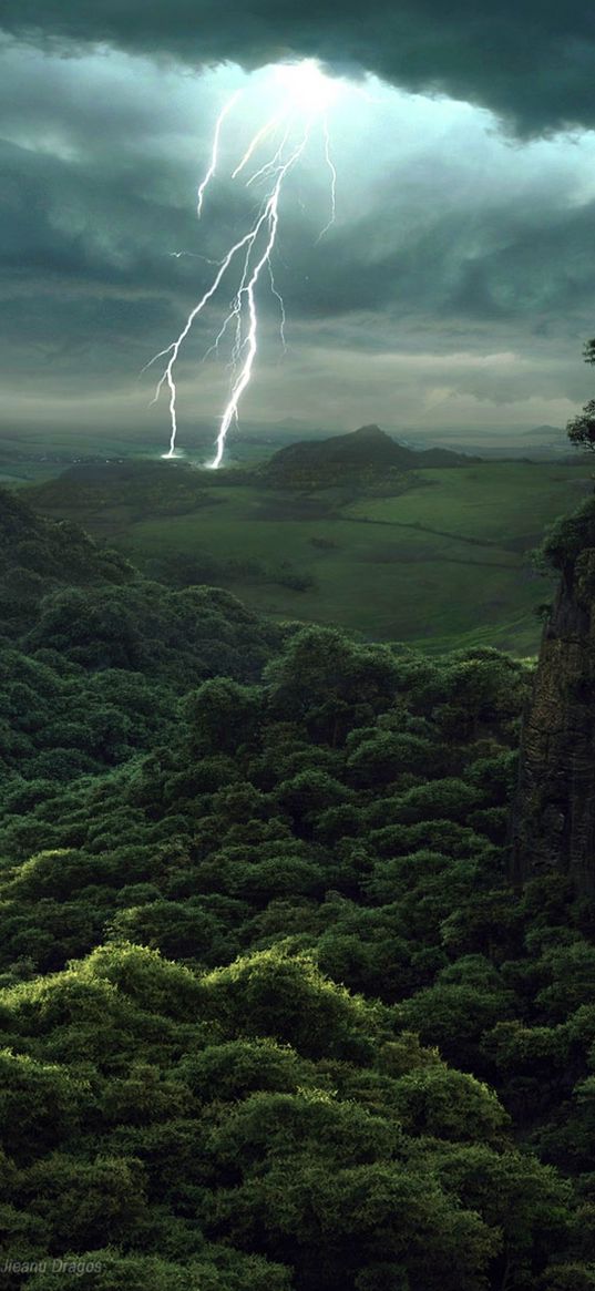 forest, lightning, thunderstorm, clouds, nature, landscape