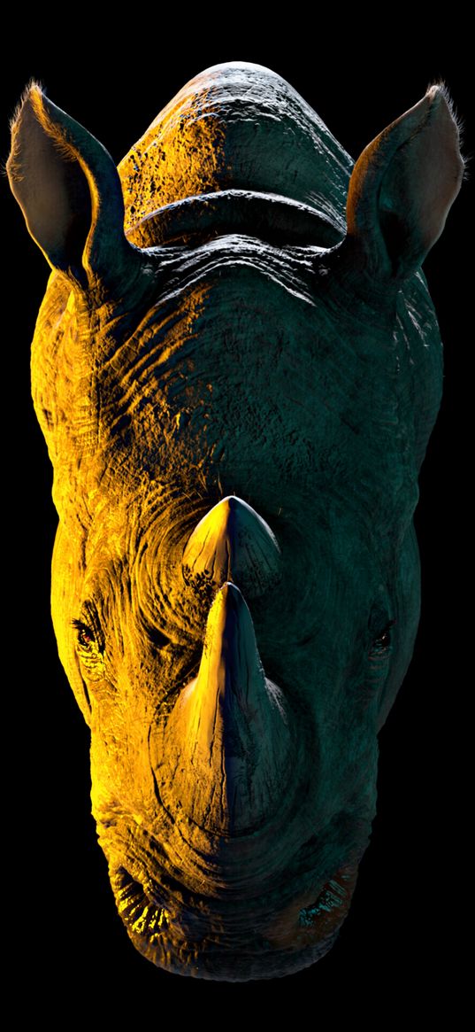 rhinoceros, muzzle, light, black background, digital art