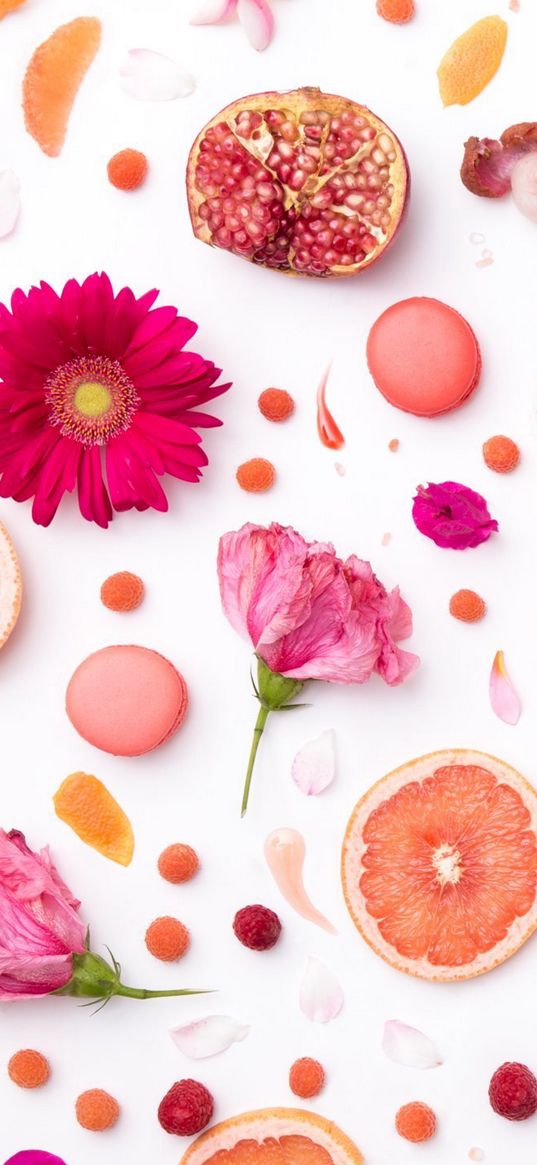 flowers, pomegranate, grapefruit, white background