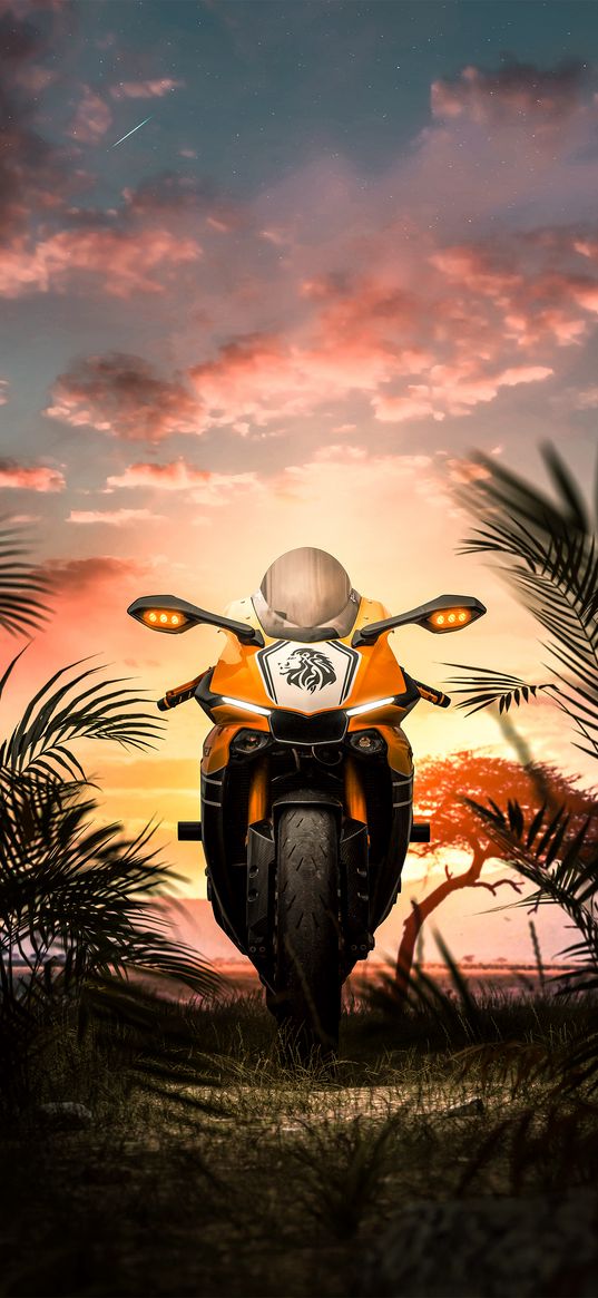 motorcycle, bike, sunset, leaves, palm tree, digital art