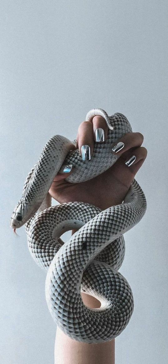 snake, white, hand, nails