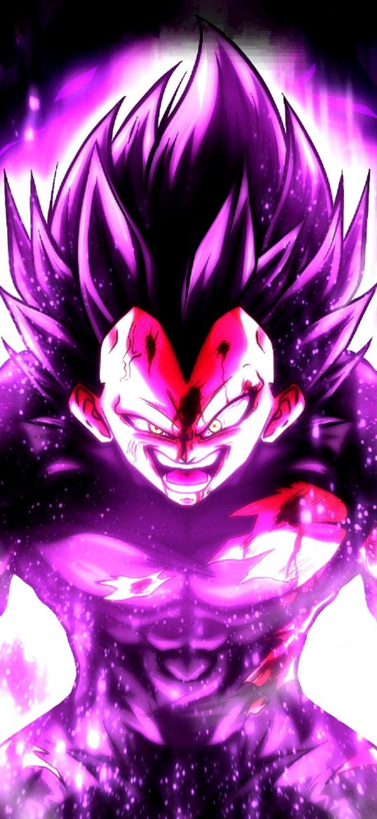 vegeta, dragon ball, saiyan, hero, purple, anime