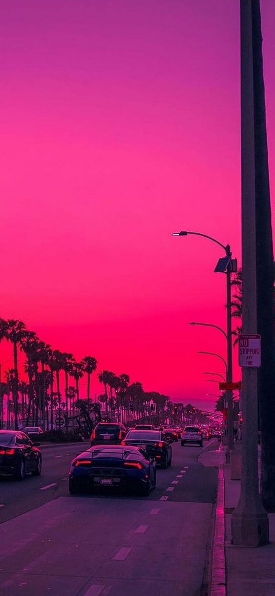 lamborghini, cars, sunset, evening, purple, pink, palm trees, moon