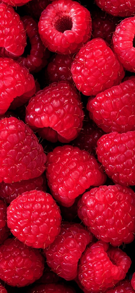 raspberries, berries, summer