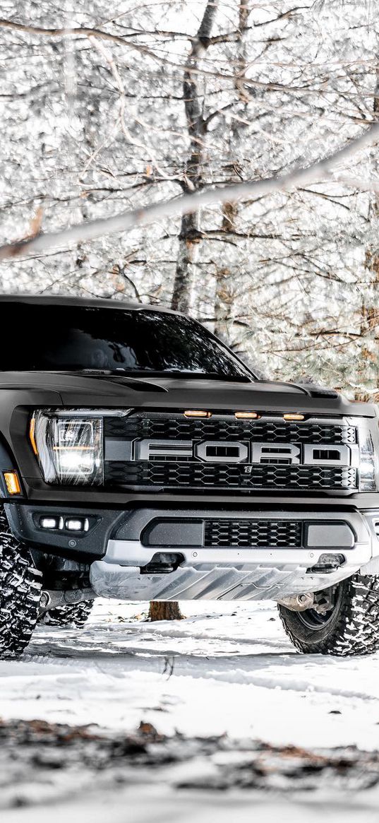 ford, raptor, black, car, hd, wallpaper