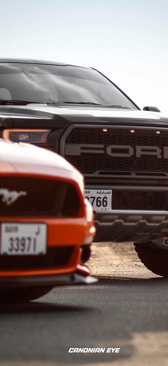 ford, raptor, mustang, black, red, car, hd, wallpaper