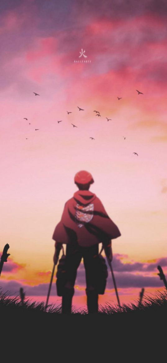 attack on titan, anime, warrior, swords, cloak, birds, flock, sunset, art