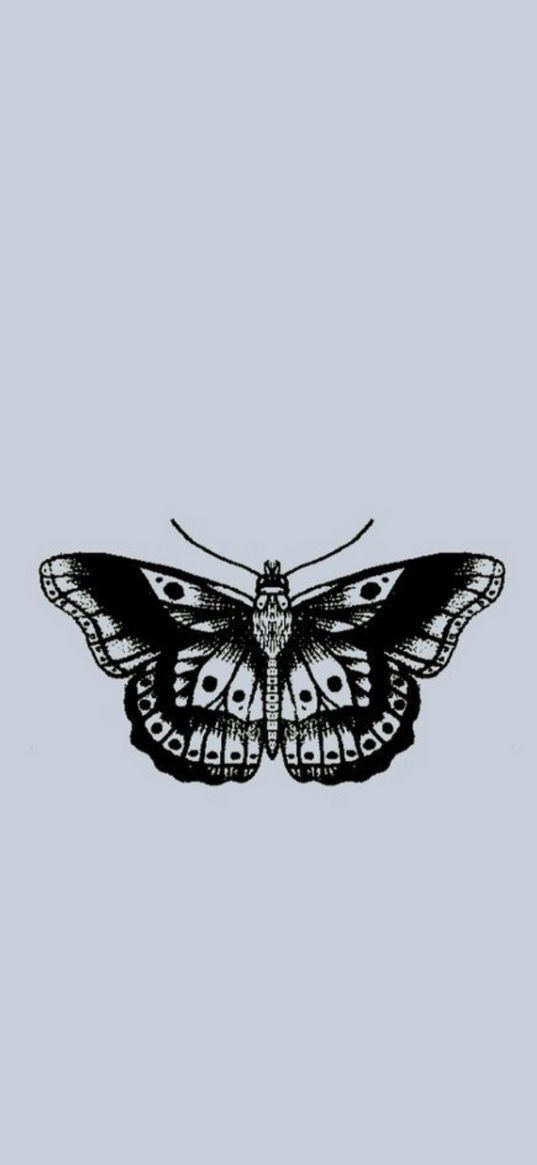 harry styles, tattoo, butterfly, black, gray background