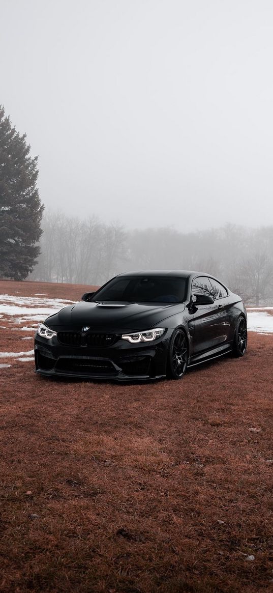 bmw m4, bmw, car, black, forest, field, snow