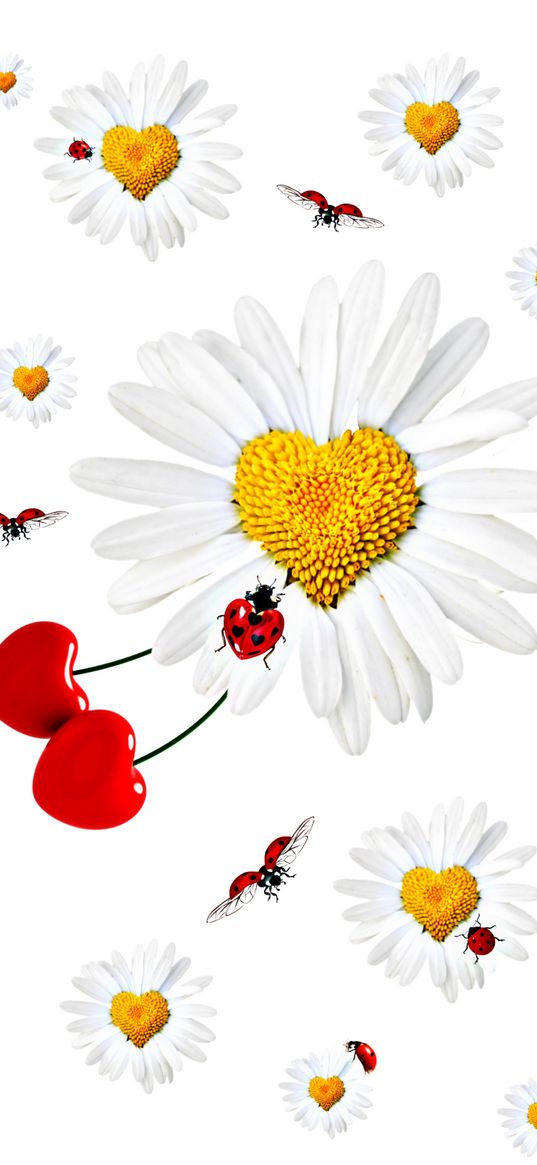 daisies, ladybug, cherry, white background, digital art