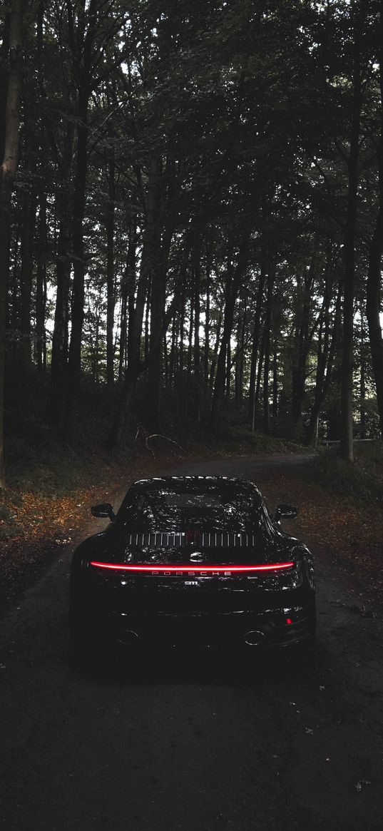 porsche, cars, forest, dark, black, rear view