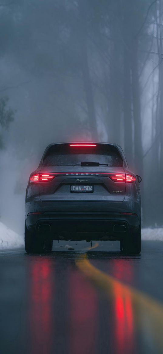 porsche cayenne, porsche, car, forest, rear view