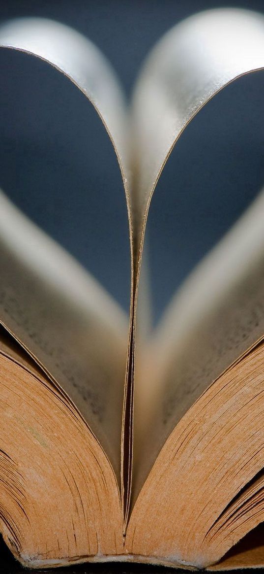 book, paper, leaves, hearts