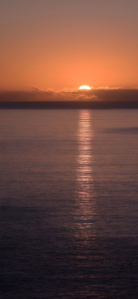 sea, sun, sunset, light, clouds, orange sky, nature, horizon