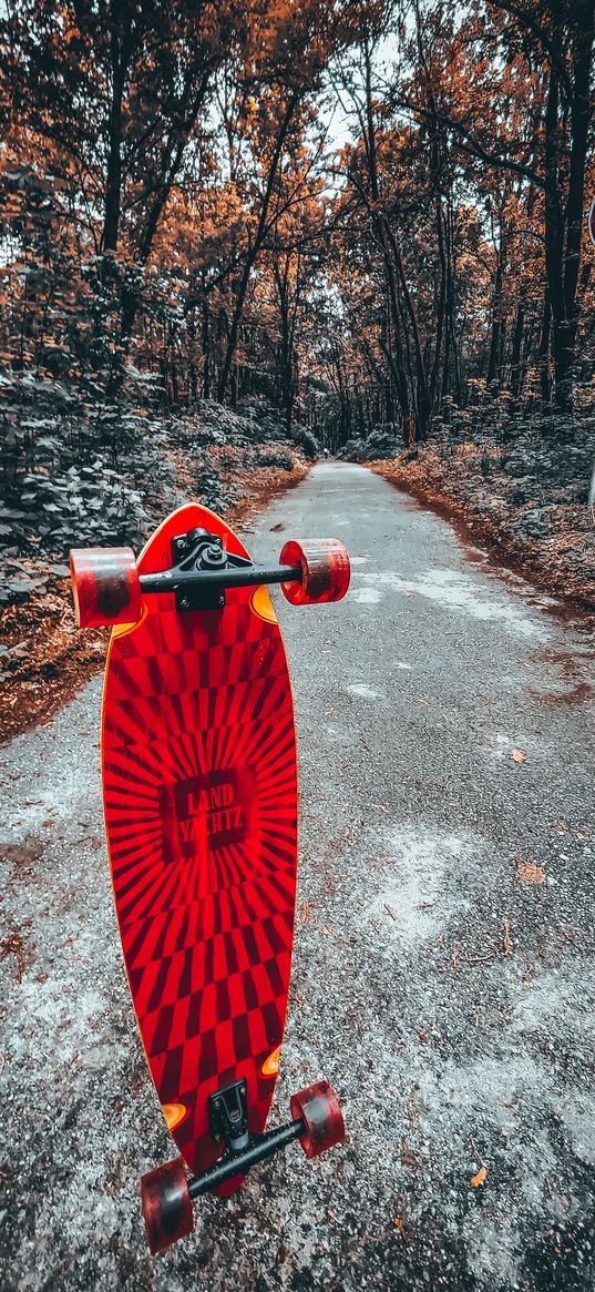 longboard, skate, nature, road, sport, sign, forest