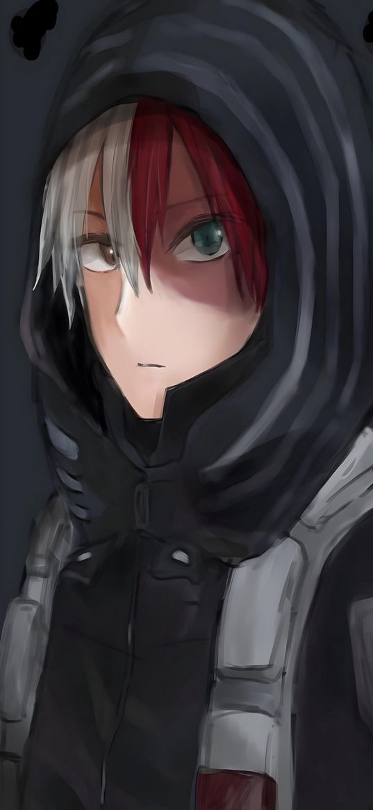 my hero academia, todoroki, anime, hood, art