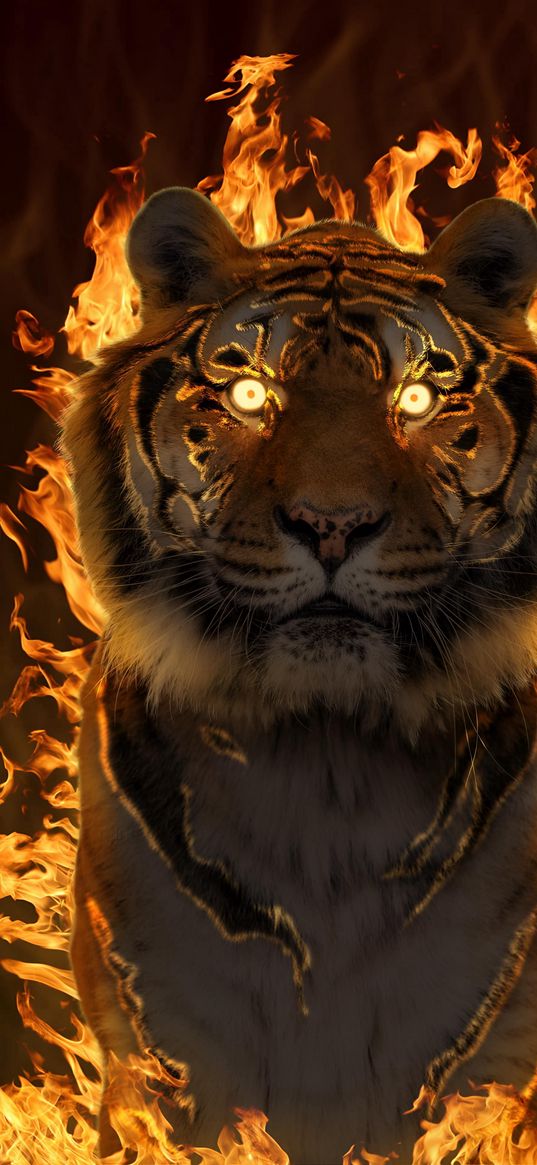 tiger, flame, fire, fury, nature, power, eyes