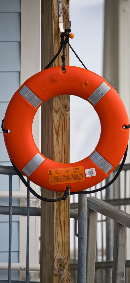 lifebuoy, circle, tree, orange