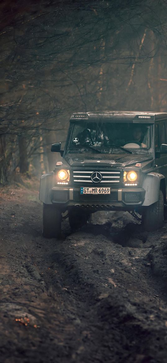 mercedes, gelendvagen, car, forest, road