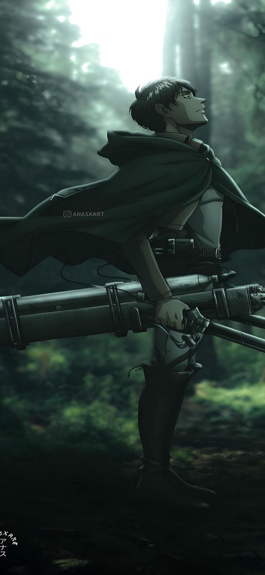 character, attack on titan, anime, green