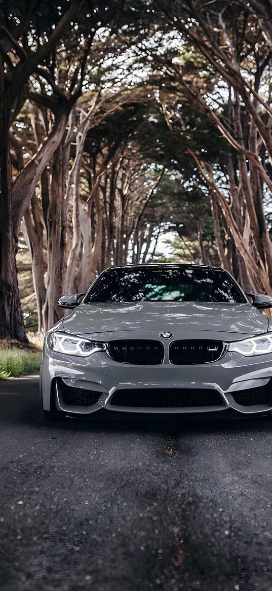 bmw m4, bmw, car, grey, road, trees