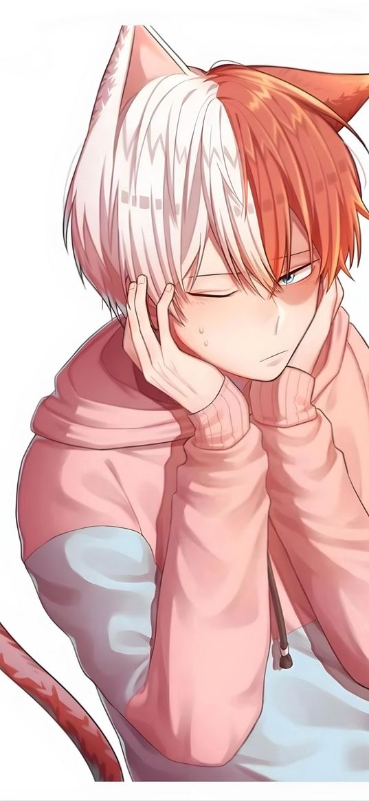 shoto todoroki, my hero academia anime, guy, ears, tail, art