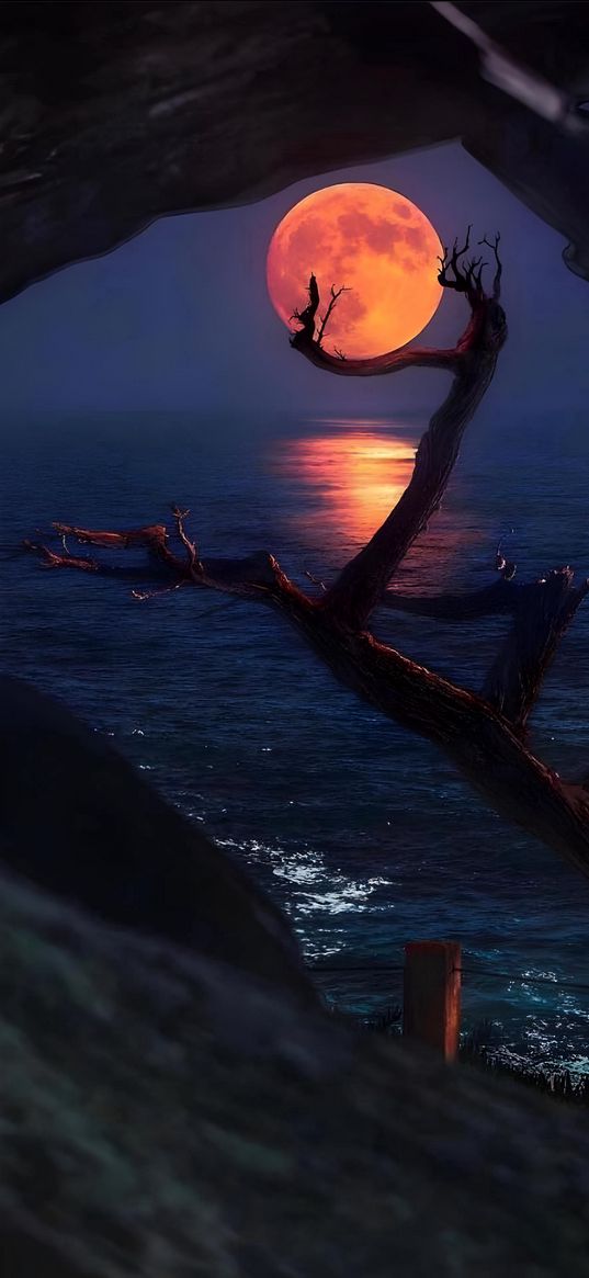 moon, red moon, tree, water, sea, lake