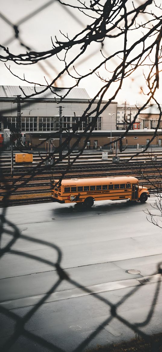 bus, tree, winter, grid